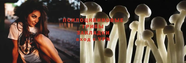 альфа пвп Козельск